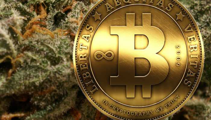 Cannabis VS Bitcoin
