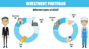 What is Diversified Investment 1