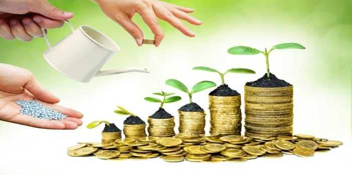 What is Mutual Fund Investment?