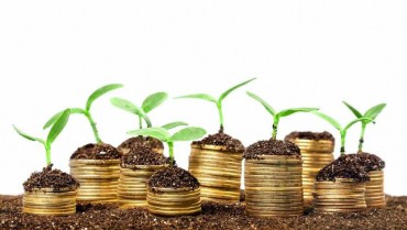 How To Choose An Asset To Invest In