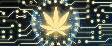 Crypto cannabis is very hot now!
