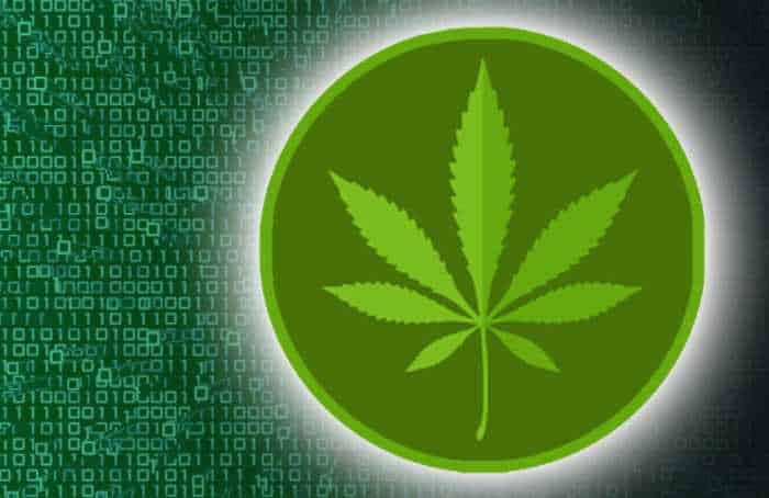 crypto and cannabis