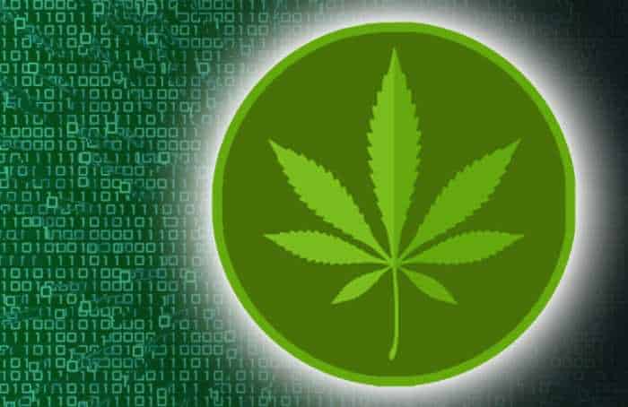 crypto bank for cannabis