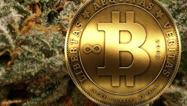 Should You Leave Crypto, Get into Cannabis and ‘ Buy high’?