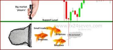 Stop Loss Order - What is It? 2