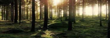 Swedish Economy – HOW SWEDEN CREATED A MODEL ECONOMY
