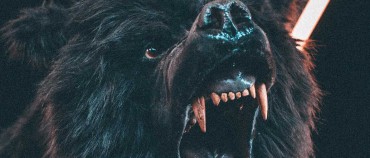 Bear Market Definition & How to Profit 5