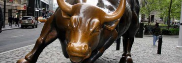 Bull