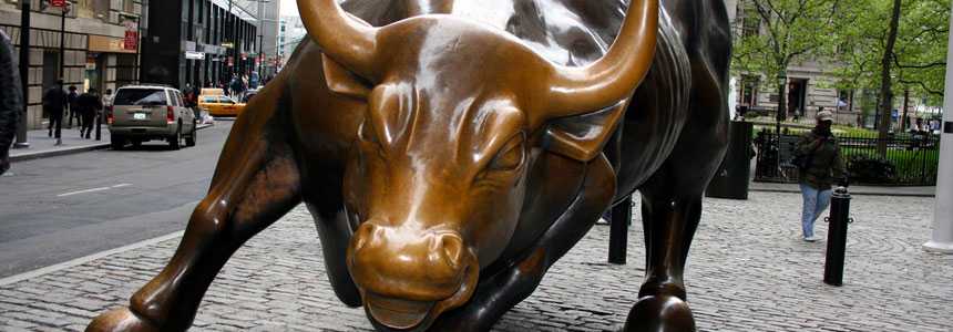 Bull | Financial Dictionary | Traders Paradise