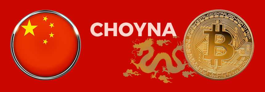 CHOYNA Financial Dictionary Traders Paradise