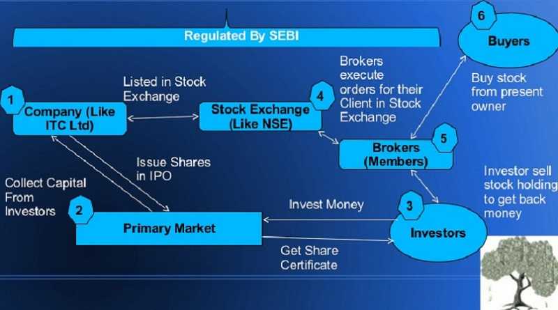 Forex market - The differences with other markets 2