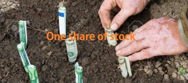 One share of stock – is it worth buying