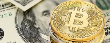Bitcoin price, Trump or How Do You Understand All of This