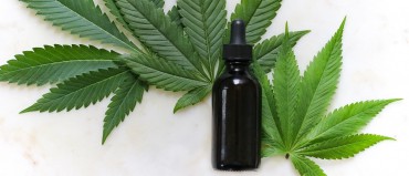 Cannabis earnings – the countdown started