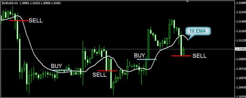 The Truth About Forex Trading - Traders' secrets - Traders-Paradise
