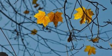 October Effect – Investing When The Stock Market Go Lower