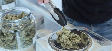 Will Marijuana Stocks Go Up In Smoke?