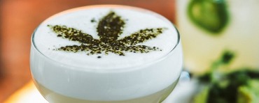 Cannabis Stocks Are Not All Equal For FDA