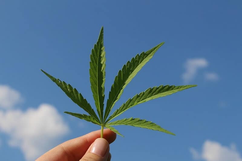 Trulieve Cannabis Corp. Revenue Grew 150% In Q3 Report