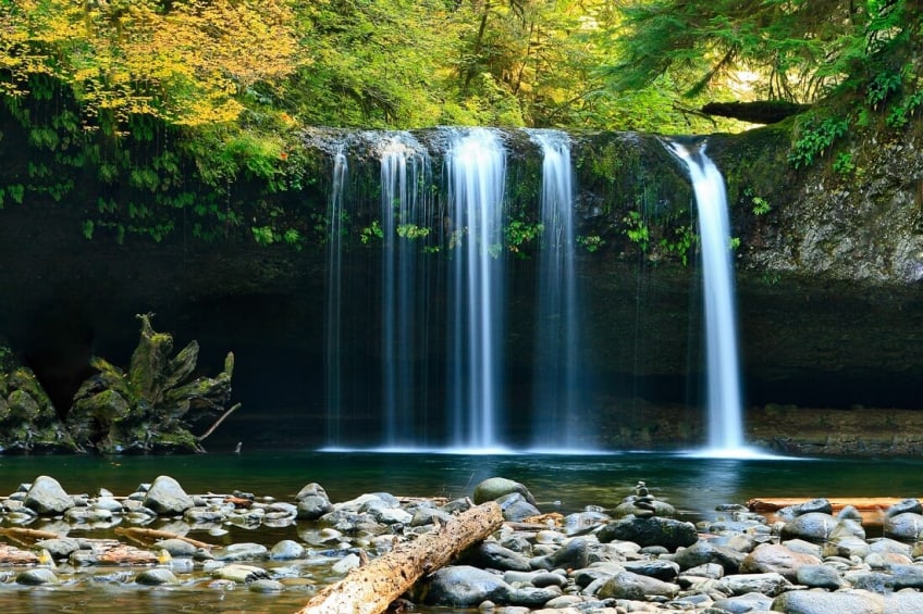Dividend Stock Investing - A Source Of Passive Income - Traders-Paradise
