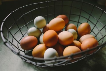 Diversification Is Important to Your Investment Portfolio
