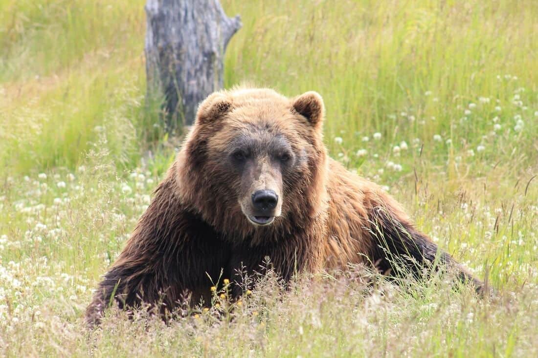 How Long Will The Bear Market Last?