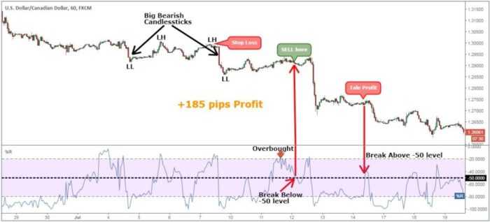 Momentum trading 1